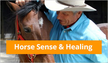 Horse Sense and Healing